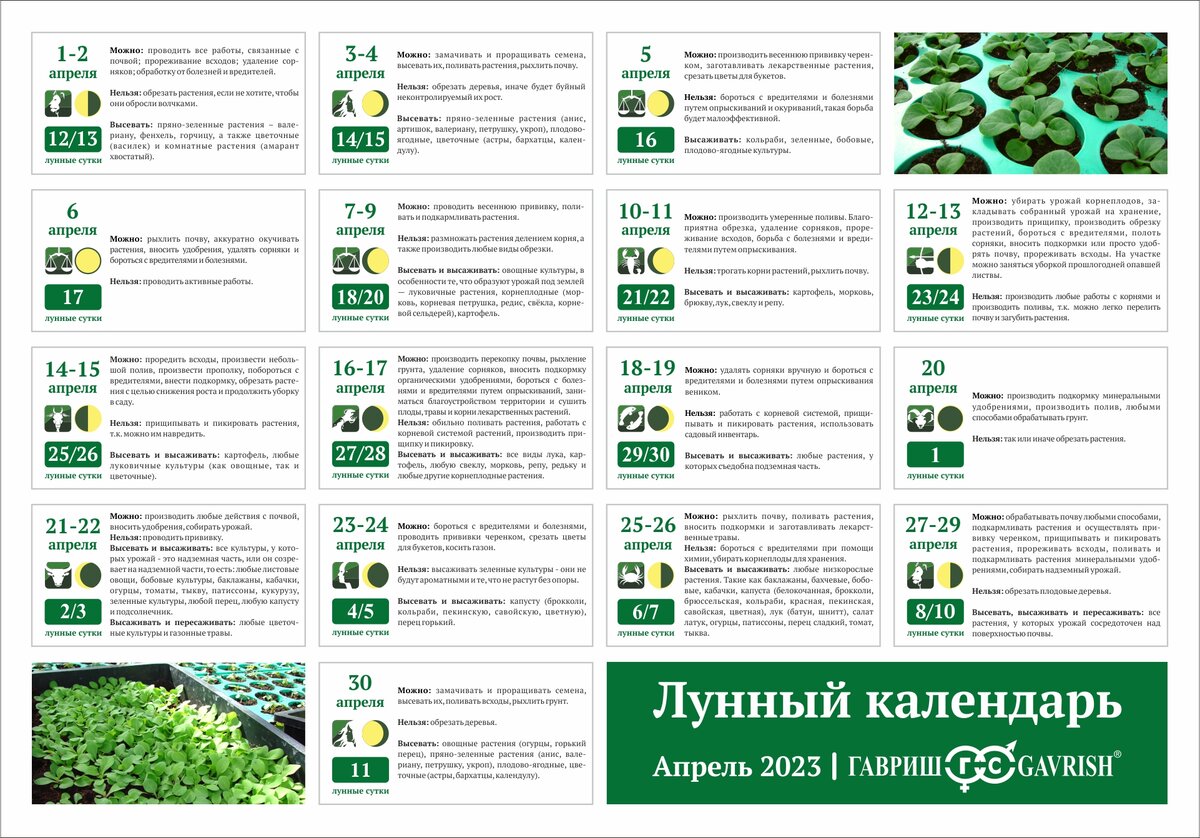 Лунный календарь на декабрь 2023 года огородника