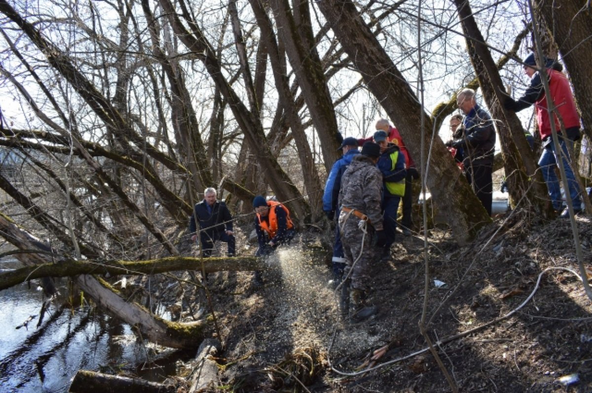    Стартовали работы по расчистке русла Тьмаки в Твери