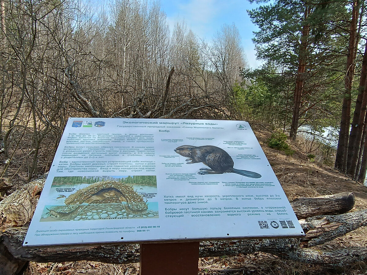 Лазурные воды