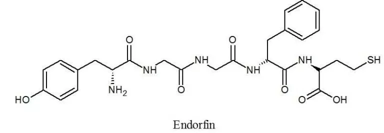 Гормон эндорфин картинка