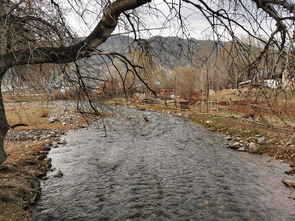 Река в центре села