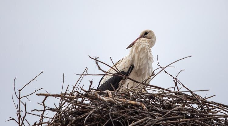 Фото: Алексей Дацковский