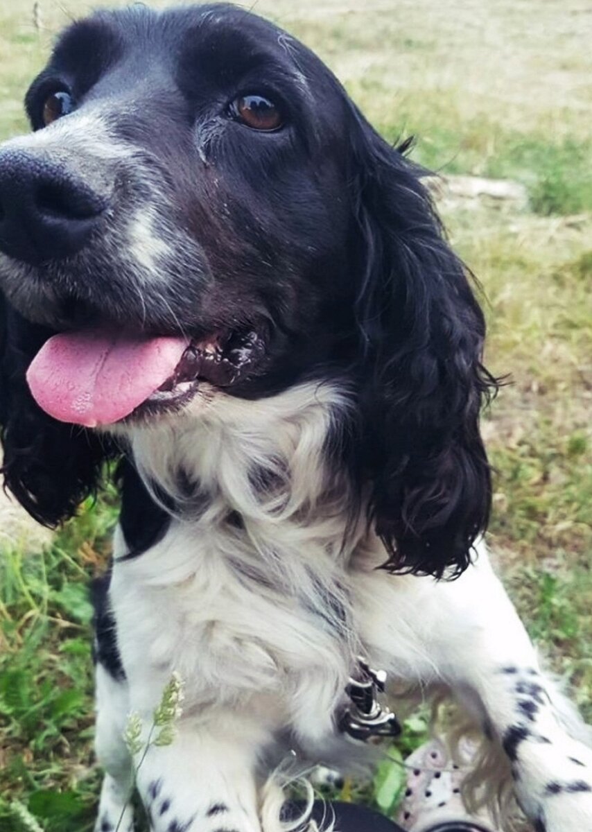 Добродушный Тор радуется своему спасению