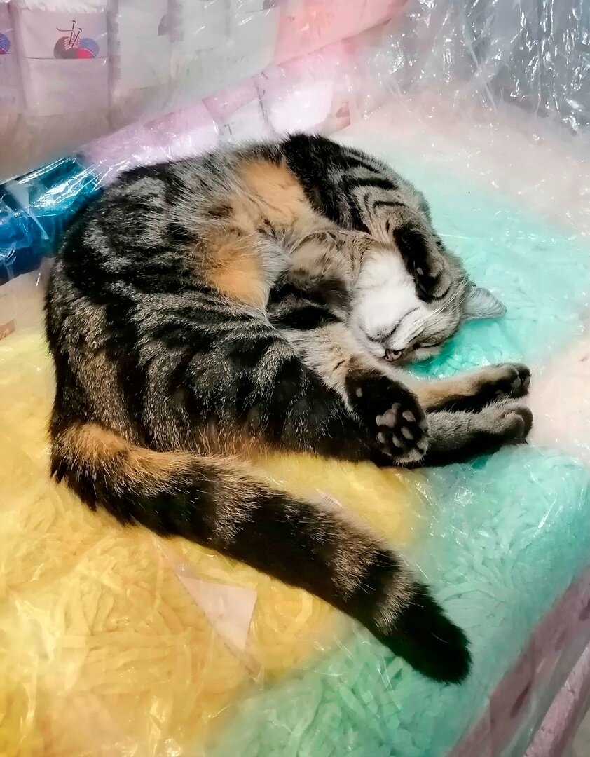 ��������� �������. 