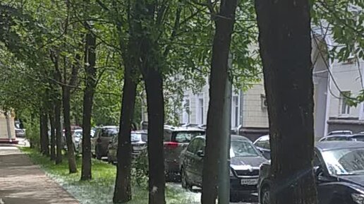 Написано пером! | Тополиный пух, Москва, июнь! | Дзен