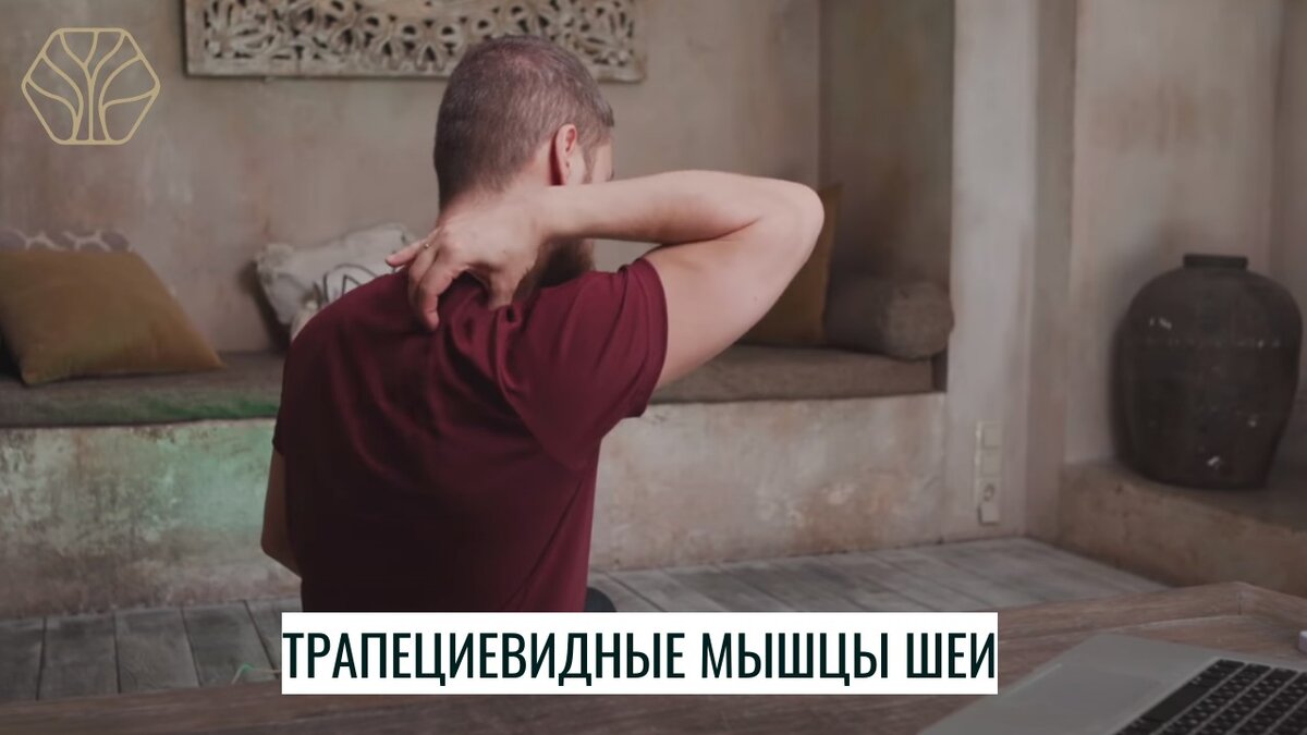 Берём щипком трапециевидную мышцу с одной стороны - это как раз мышцы шейно-воротниковой зоны, которые все очень любят массажировать.