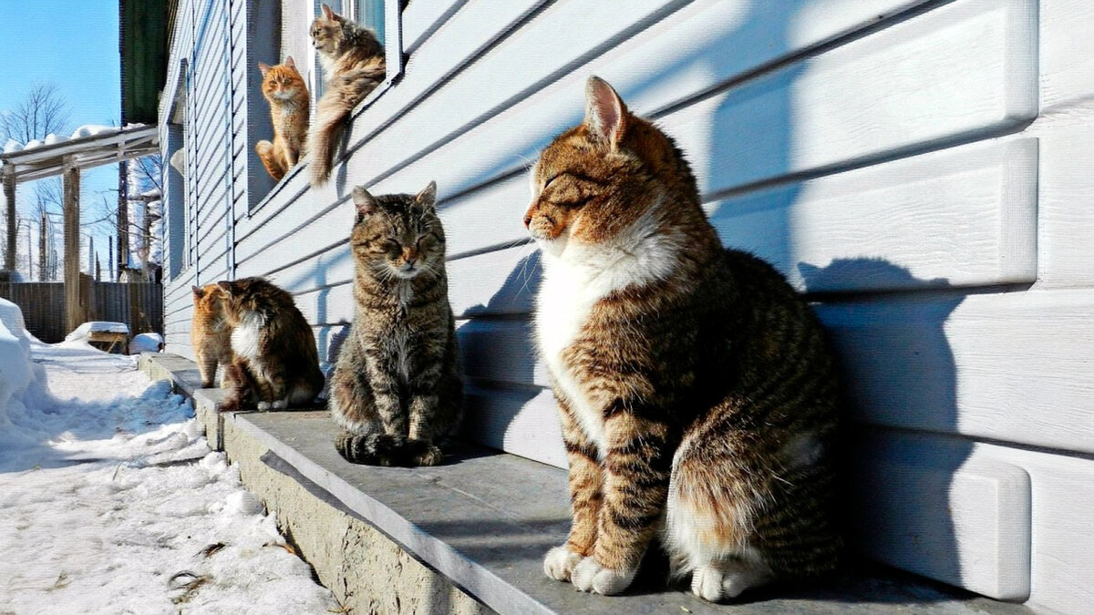 источник фото: i.mycdn.me