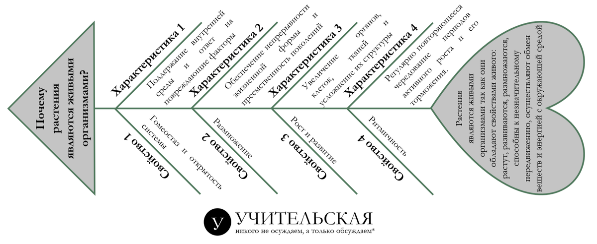 Метод "Фишбоун" на уроках английского языка