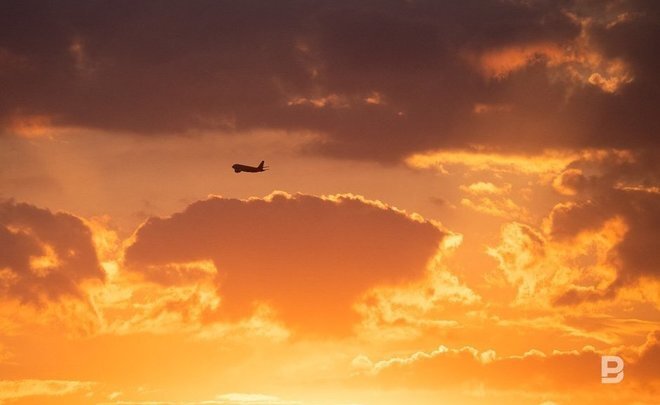 Фото: Максим Платонов/realnoevremya.ru