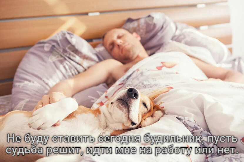 Что спите картинки прикольные