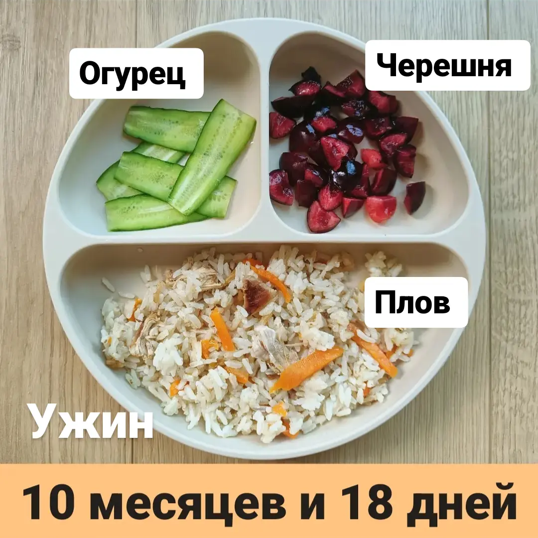 Пример тарелки в 10 месяцев 