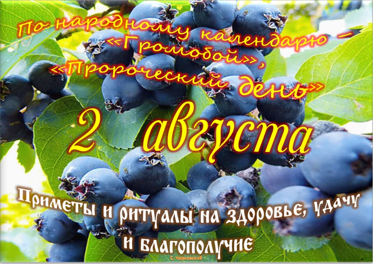 2 августа - Приметы, обычаи и ритуалы, традиции и поверья дня. Все  праздники дня во всех календарях. | Сергей Чарковский Все праздники | Дзен