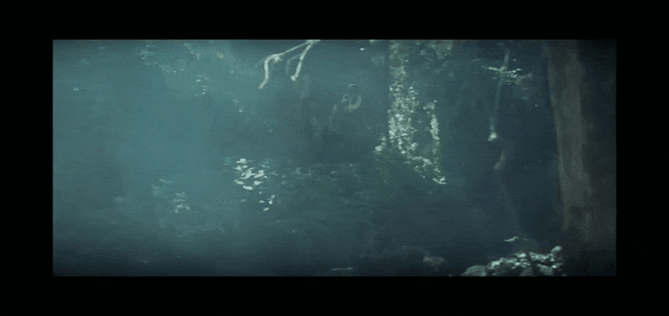 Момент ограбления и тот самый мул