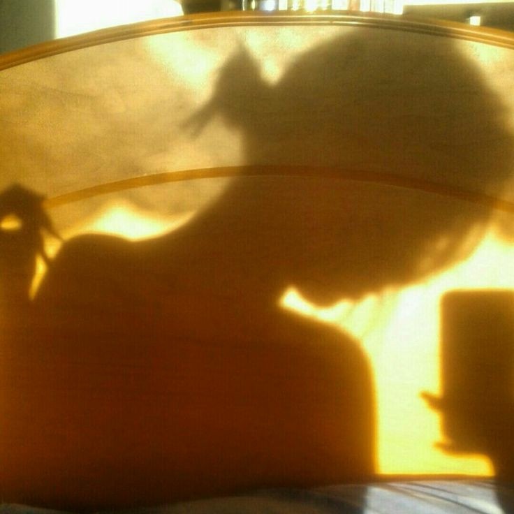 Источник фото - Pinterest