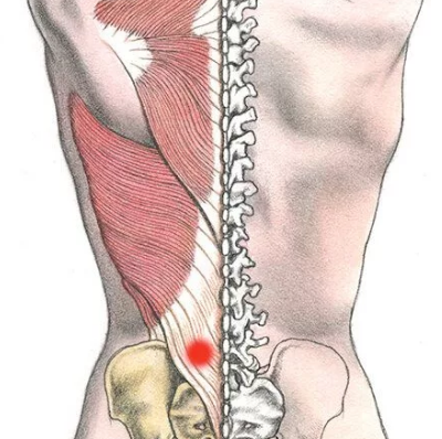 4 рекомендации, как снизить нагрузку на мышцы спины и облегчить боль в пояснице. Изменяем привычные мелочи для здоровья…