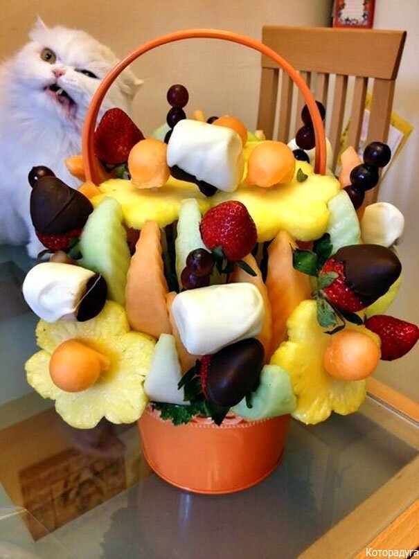 Источник: pinterest.com