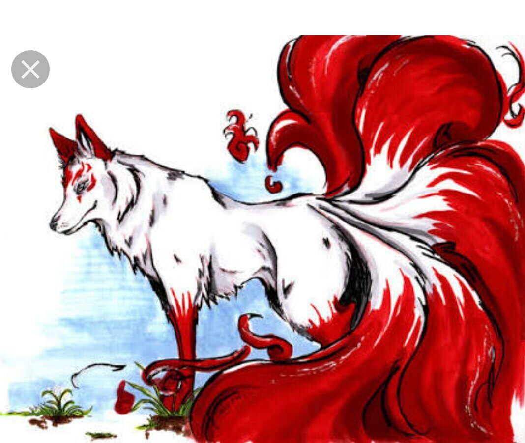 Лиса с девятью хвостами. Кицунэ девятихвостый волк. Лис Хоккайдо Кицунэ. Кицунэ лиса белая с красным. Цикуне девятихвостый волк.