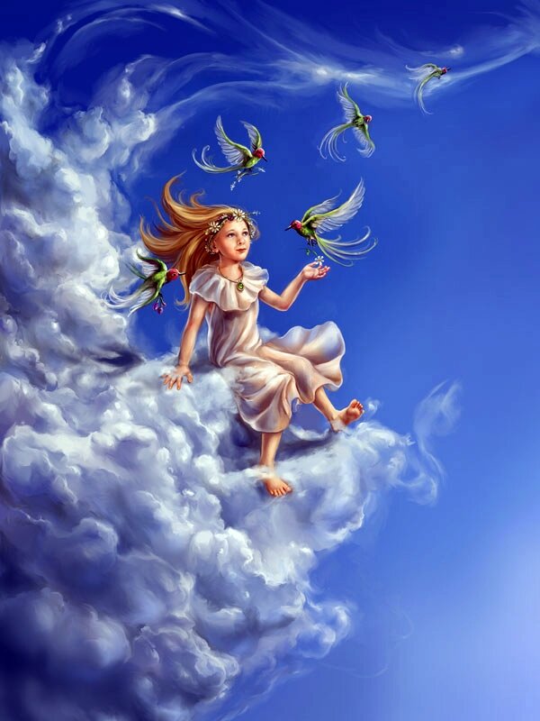 яндекс коллекция