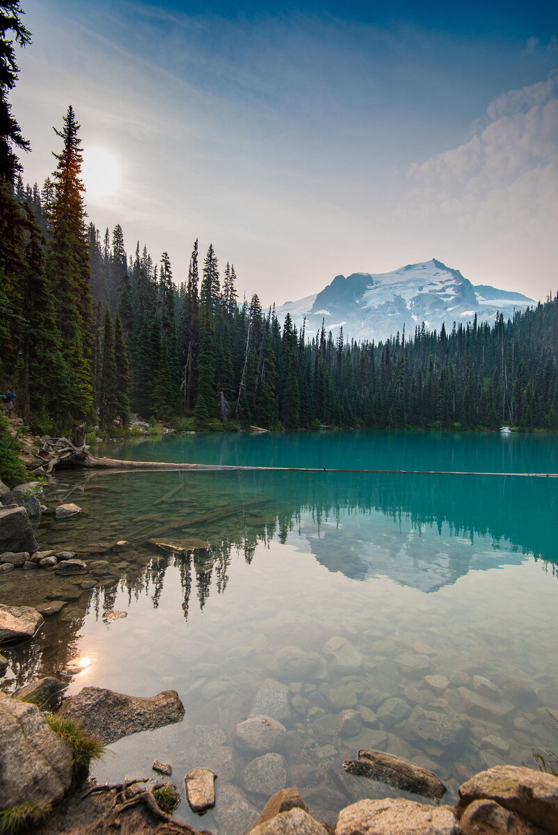 Лесной пейзаж 