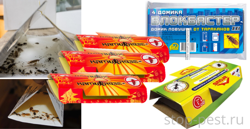 фото сайта https://stop-pest.ru