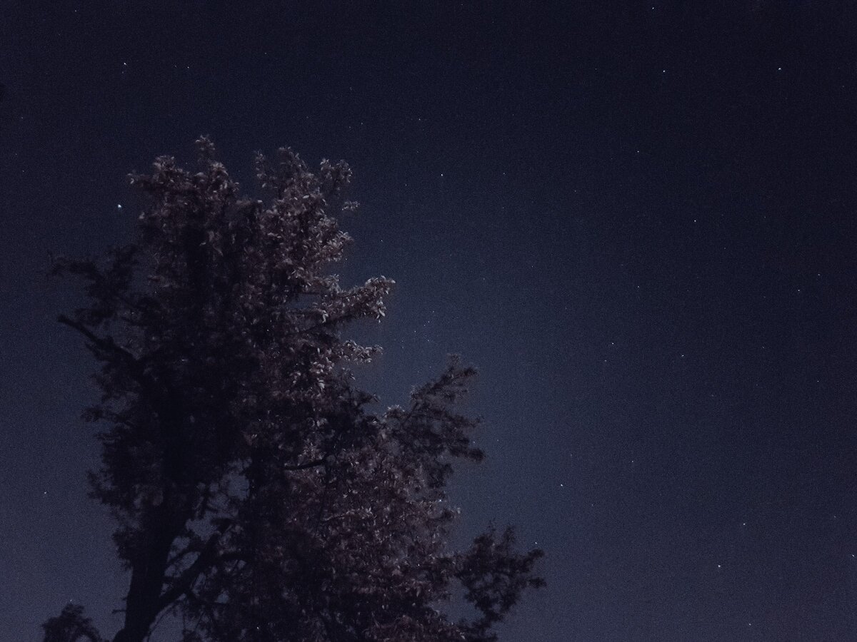 Красивое ночное небо