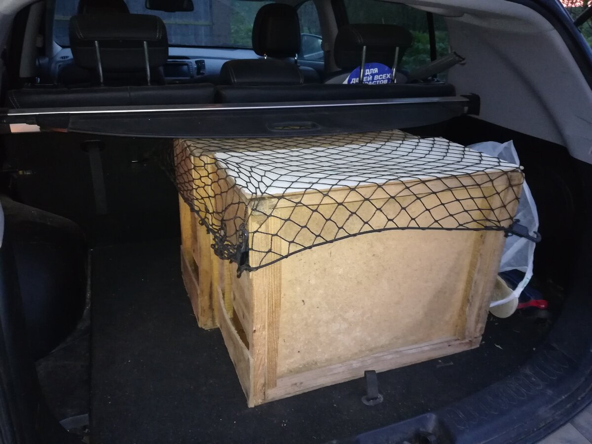 фото автора.