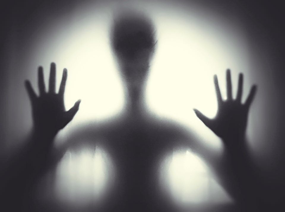Фото: pixabay.com