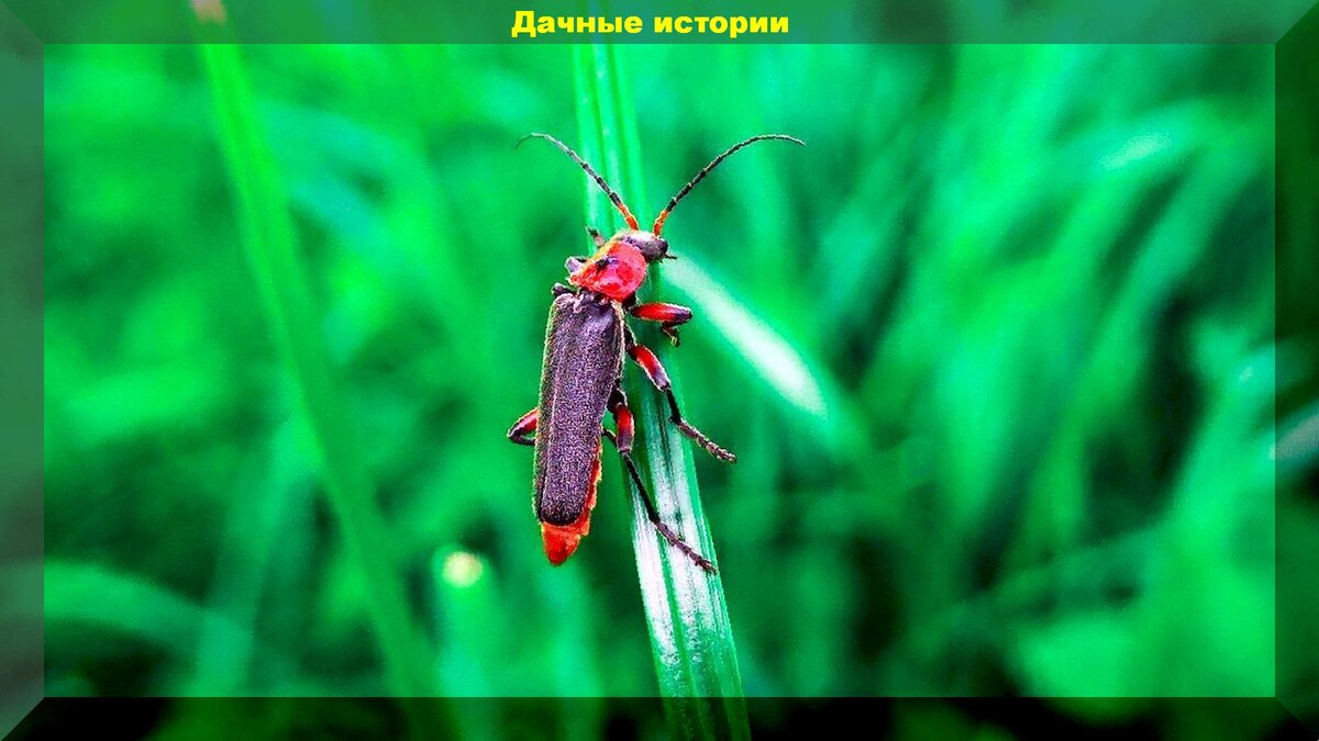 https://vk.com/photo-159774511_457243842
