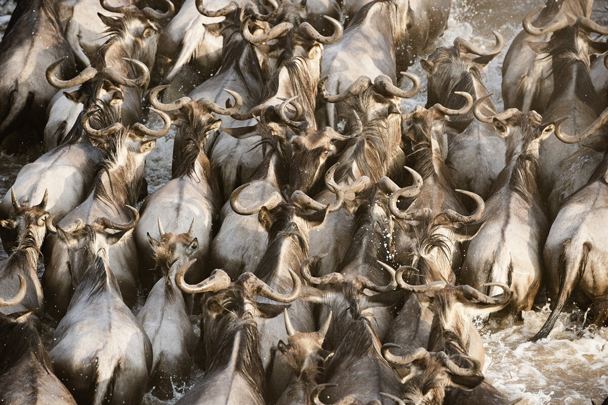 Фото:Юлия Сундукова