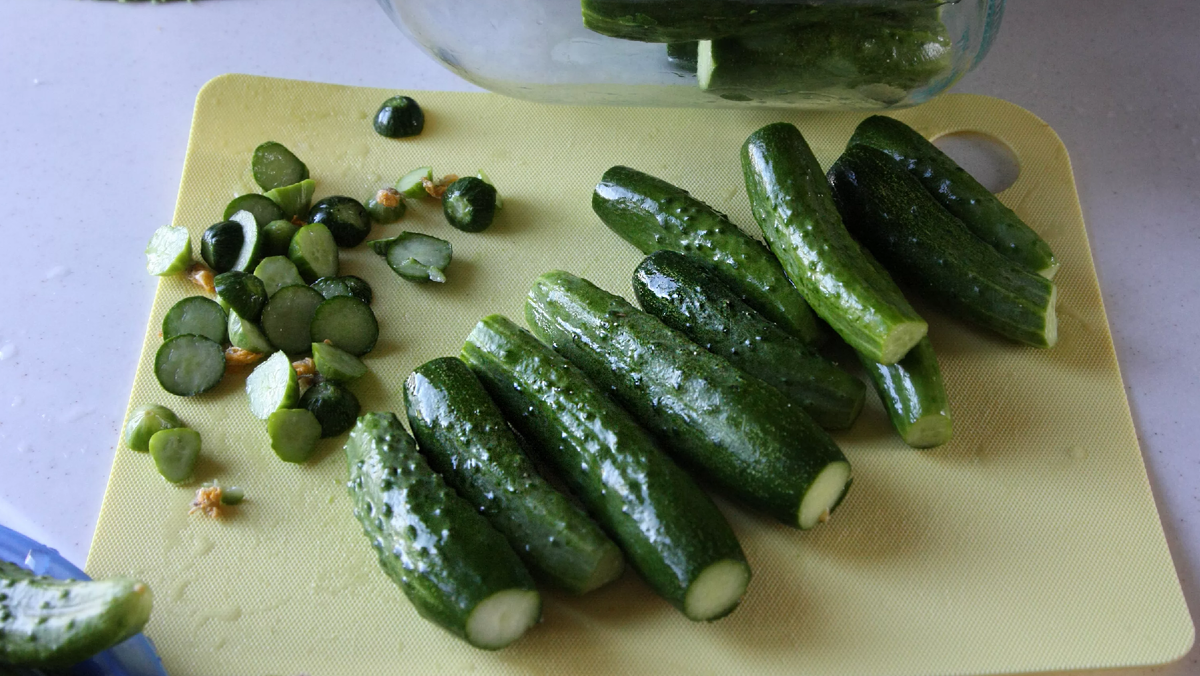 Фото с сайта tunnel.ru