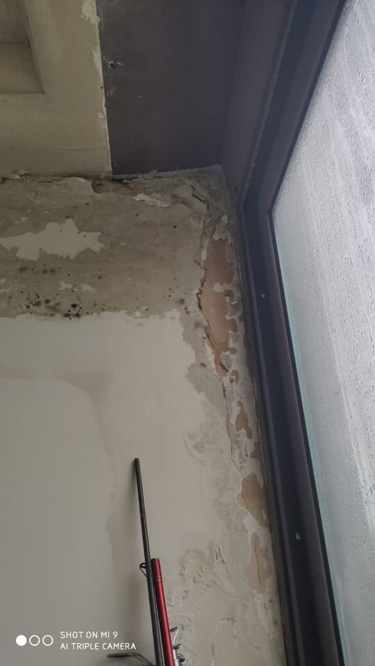 Реновационная новостройка в районе Северный после ливня покрылась плесенью