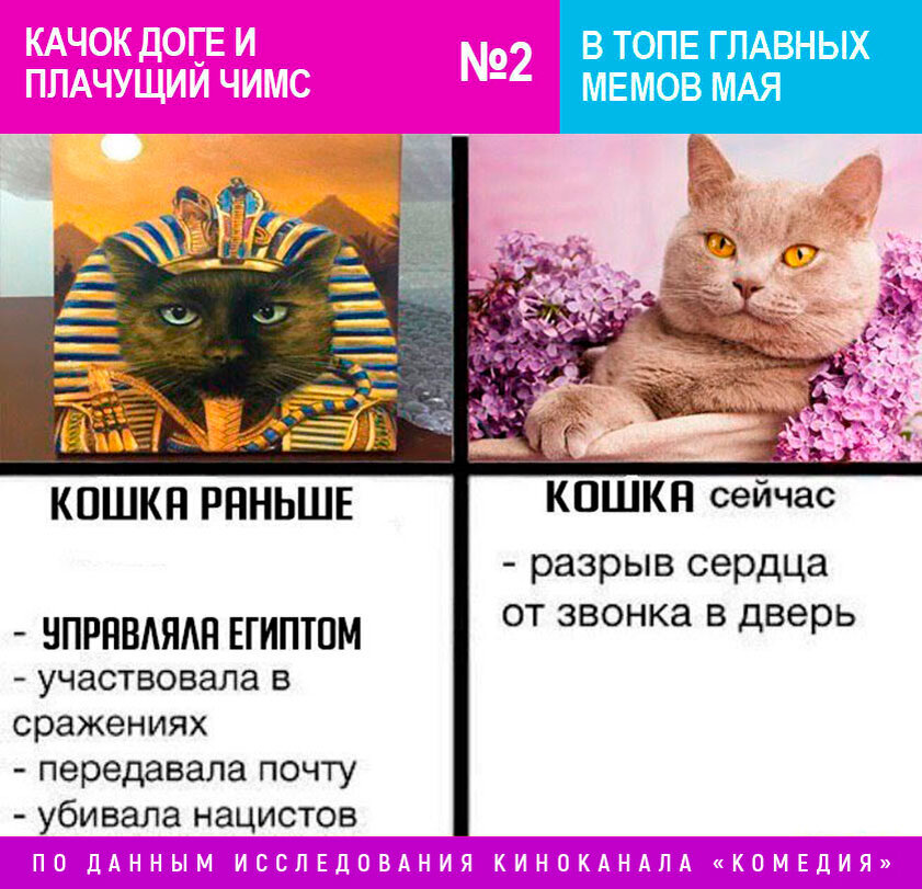 Раньше кошке