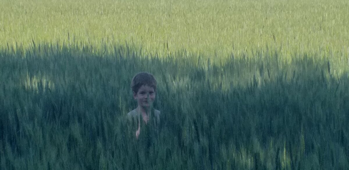 Игры на природе.