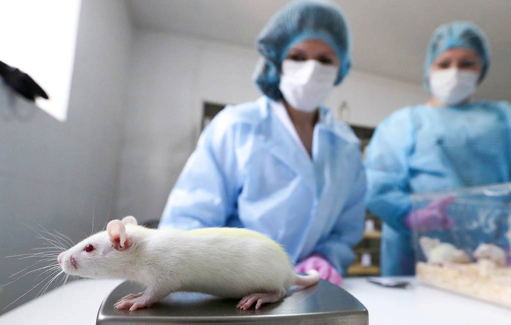 Источник: baltach.rbsmi.ru