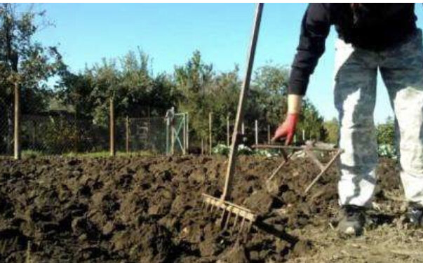 Проверка чудо лопаты на твердой почве