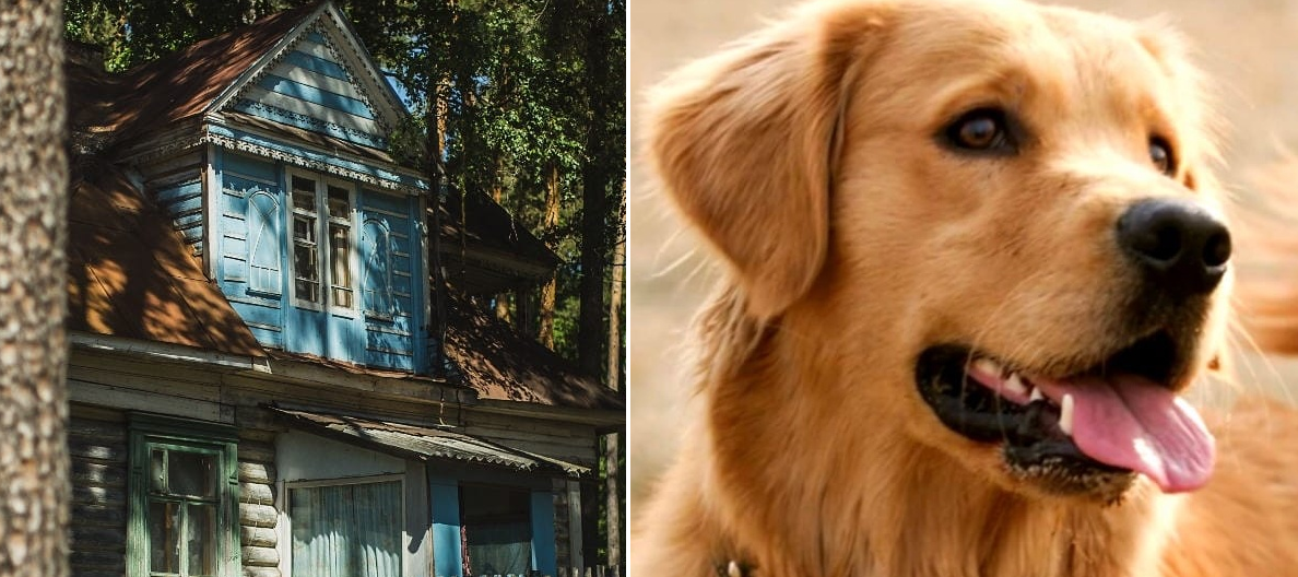 Фото stihi.ru youtube.com/channel/UC46w1_yPTlWlbl0JA_Fyhew