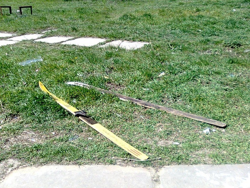 Источник фото: https://m.vologda.kp.ru/daily/26111/3006951/