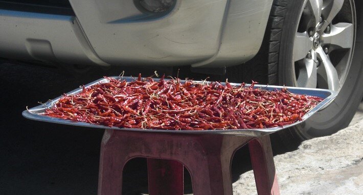 перчиков выращивают много и сушат прямо на дороге