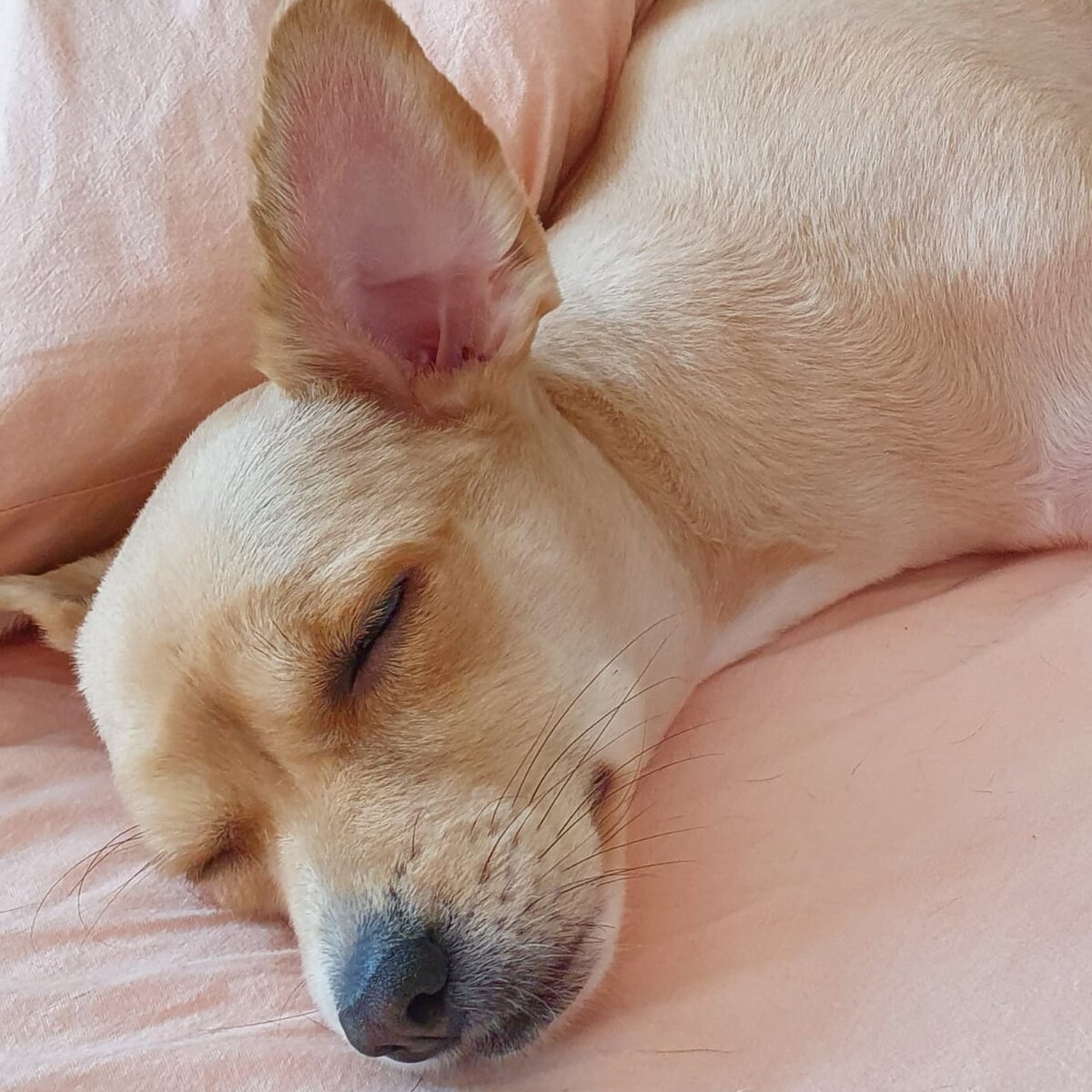 Пора вставать на работу