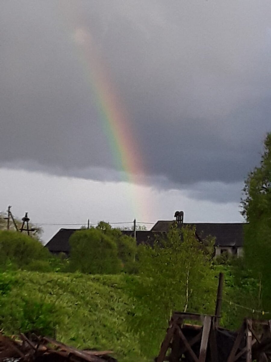 Калужская область дача💚💜💙 