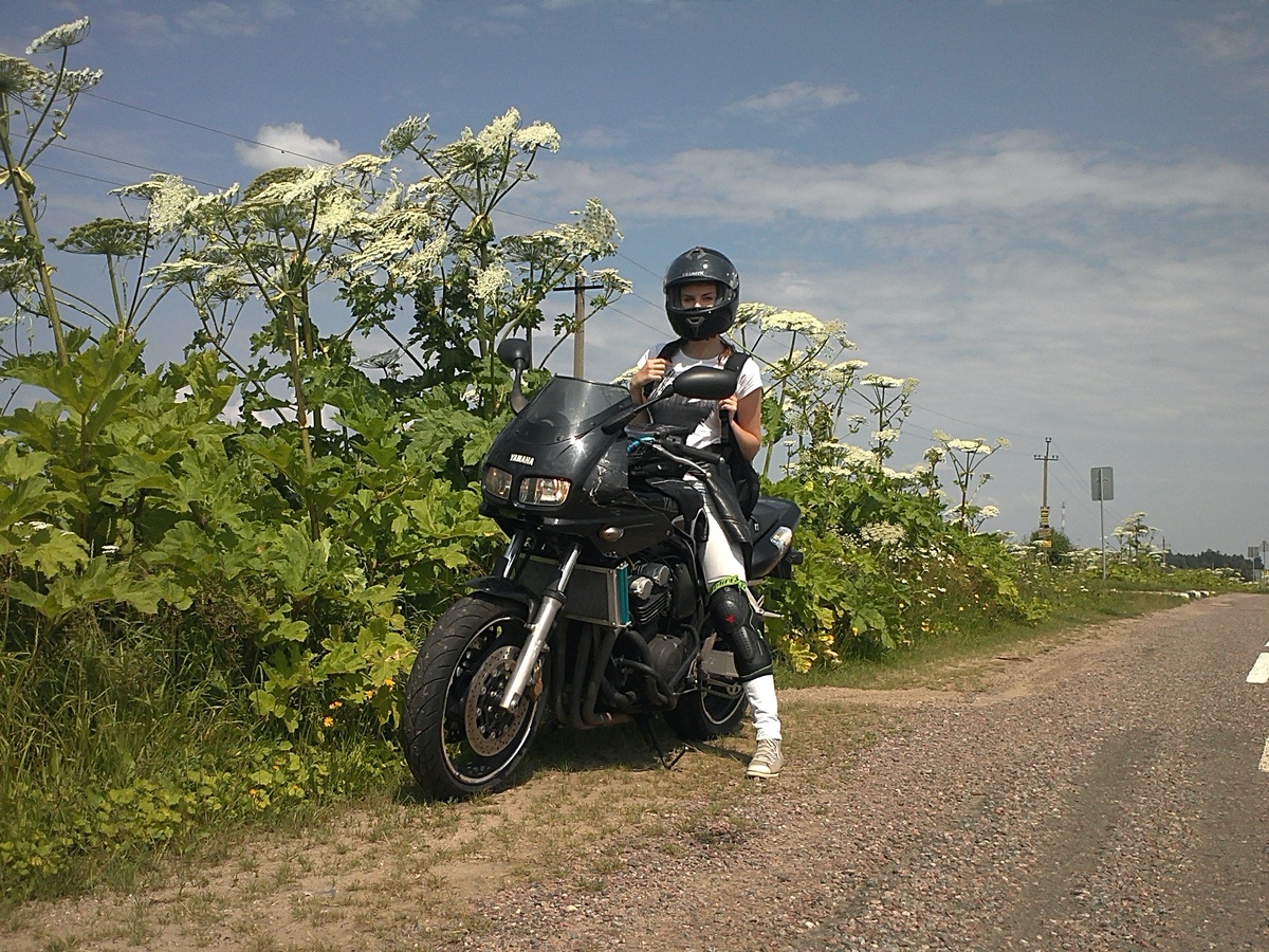 Летом 2013 я вдруг вспомнил, что борщевик может быть выше человеческого роста. Ради этого стоило уволиться.