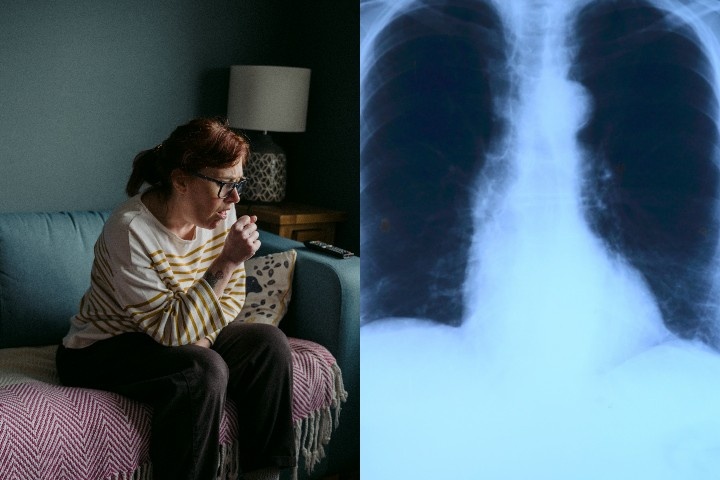 Фото: unsplash, pixabay