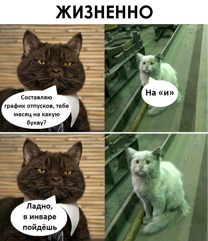 Бедный котёнок :(