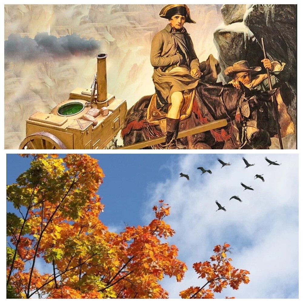 Мои ассоциации к книге «Наполеонов обоз» Источник: Yandex.ru 