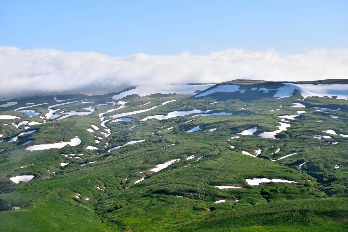 Лагонаки