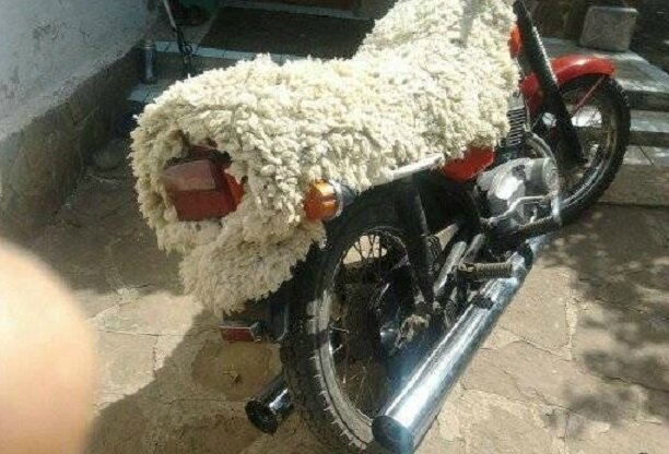 Источник: http://s010.radikal.ru/i312/1207/28/ee49ee357cf6.jpg