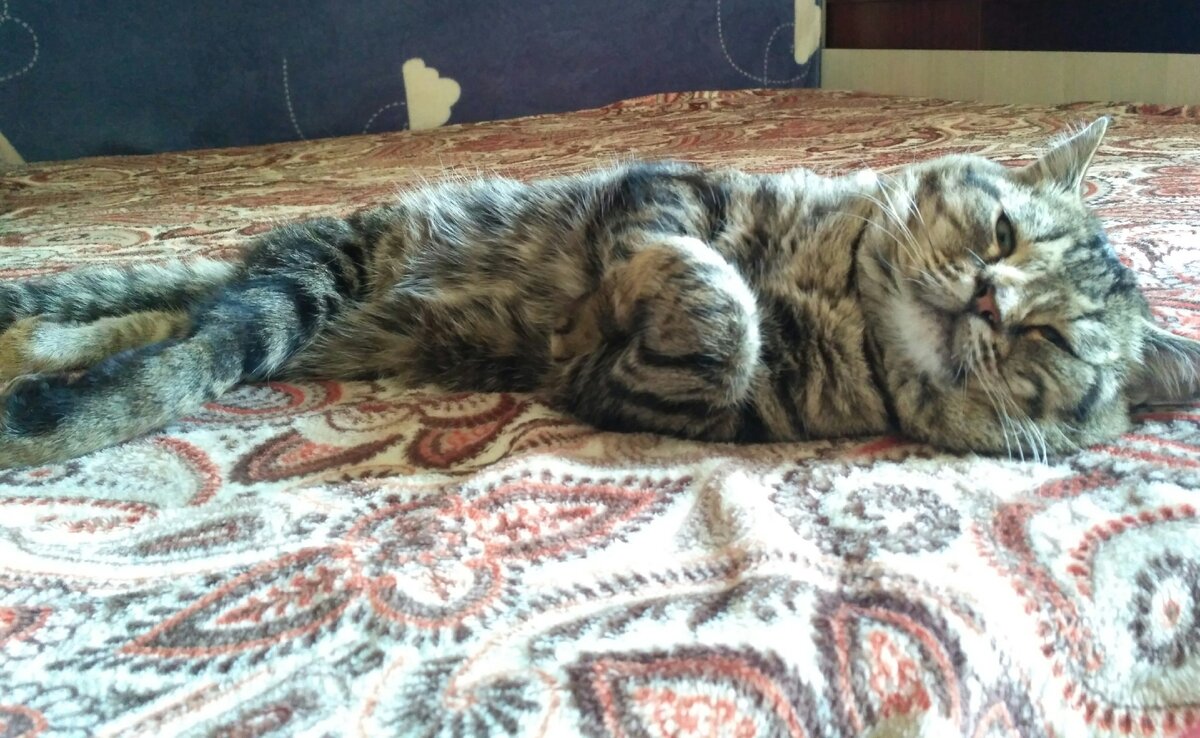 и пусть весь мир подождёт.