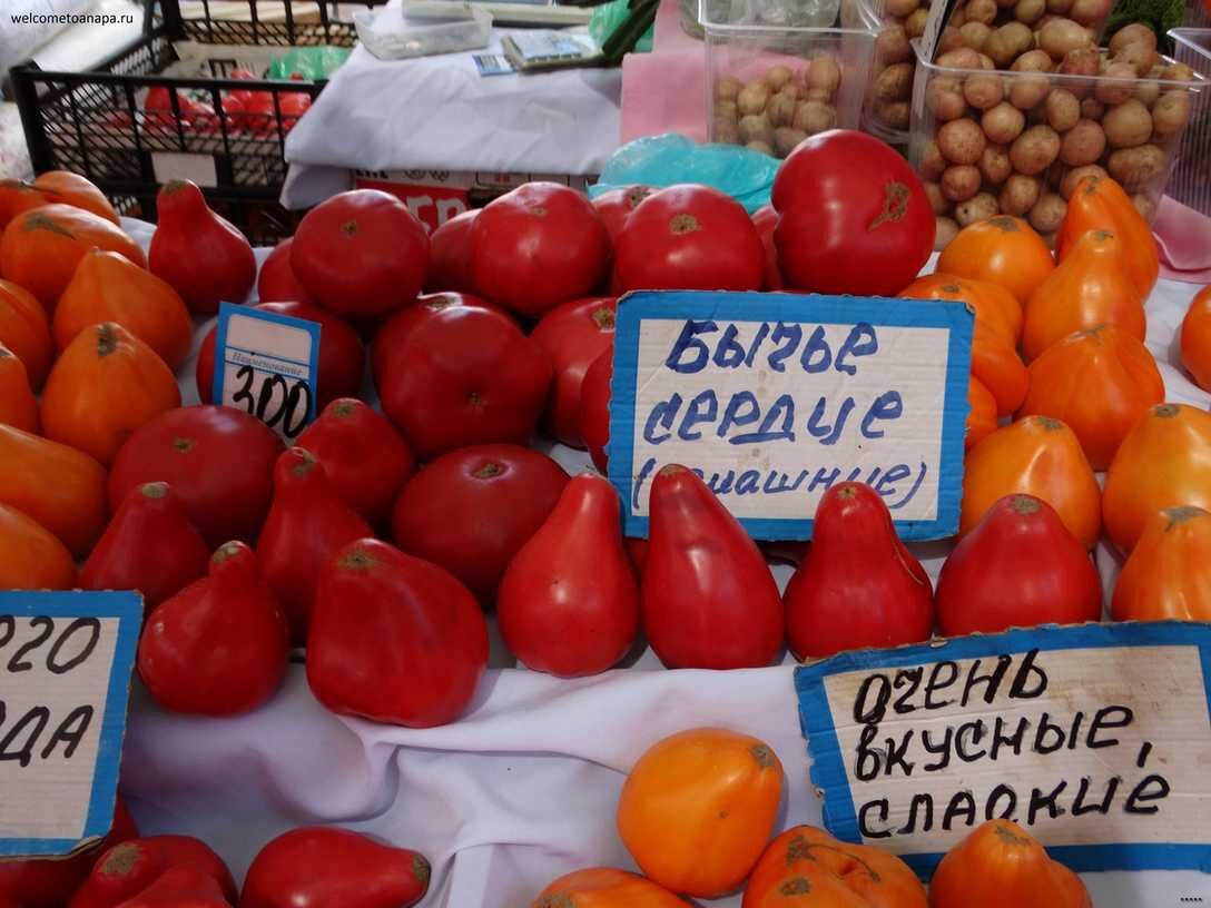 300р/кг. Вполне себе стандартный ценник на рынке в Анапе. Фото из открытых источников.