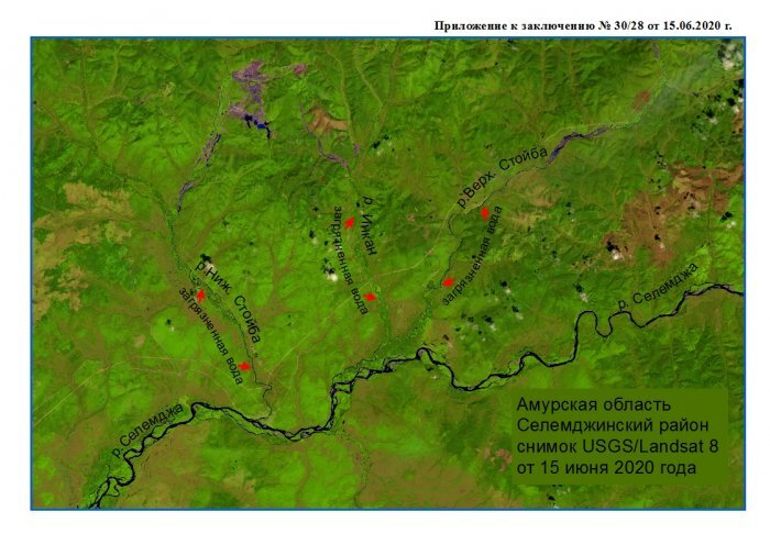 WWF в Амурской области, снимок со спутника