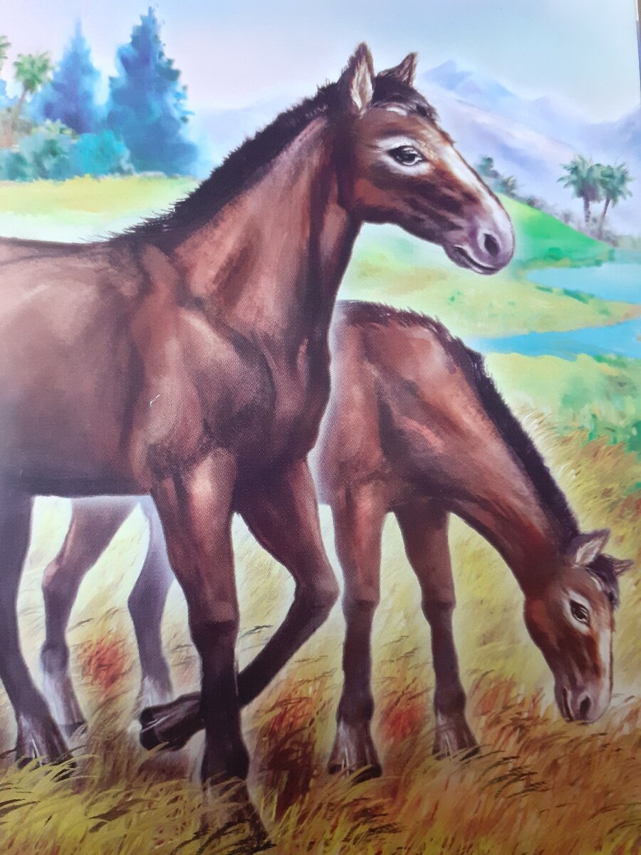 Так выглядели предки современных лошадей